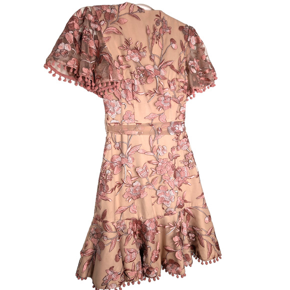 Two Sisters Pink Embroidered Floral Coquette Fairy Sheer Lace Ruffle Mini Dress - Picture 10 of 15